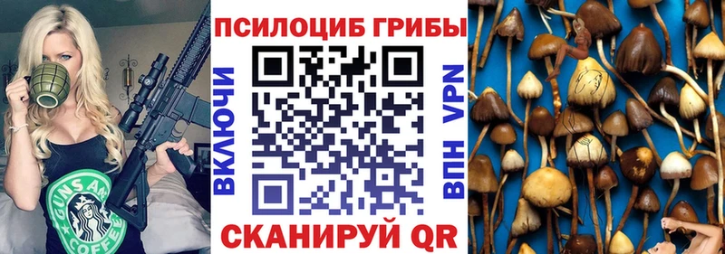 дарнет шоп  Бабаево  Галлюциногенные грибы мухоморы 